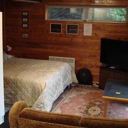 Cosy Studio Apartment Крайстчърч Екстериор снимка